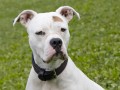 Nelly_MG_0512