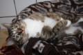 samira 01.03.22