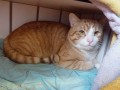 Bommel Fund