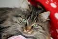Freya u Lenchen 222222