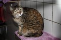 Milly K 5   1111