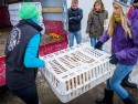 Fahrt ins Glück