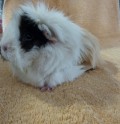 Milli& Daisy1