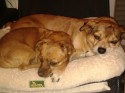 Bean und Maggy