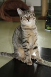 Manou und Mogli Sept3