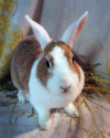 2_Kleine