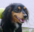 Akani_1
