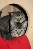 Naomi und Nils 996