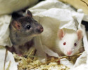 35_Jenny_und_Toechter_4