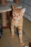 Charly u Bounty K11