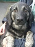 George_1