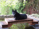 Filinchen-2